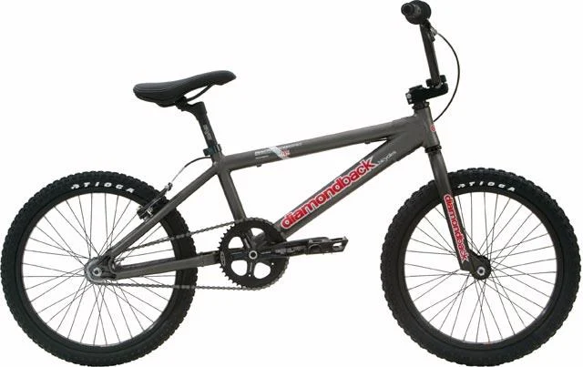 2005 Diamondback Reactor Pro