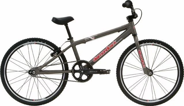 2005 Diamondback Reactor Jr.