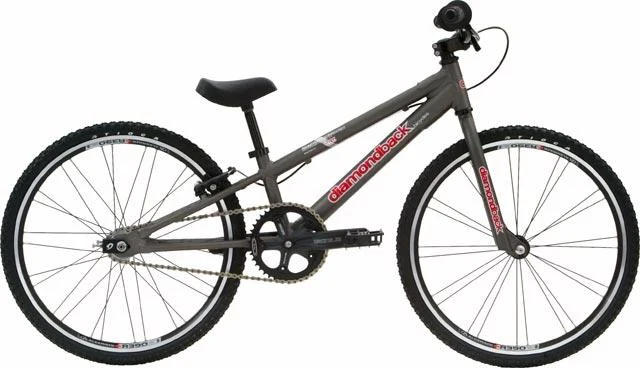 2005 Diamondback Reactor Mini