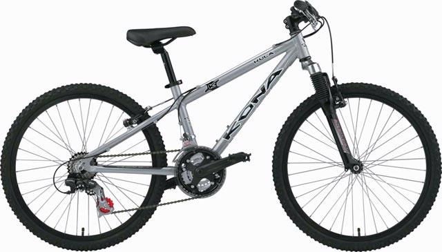 2005 Kona Hula