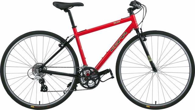 2005 Kona Dew