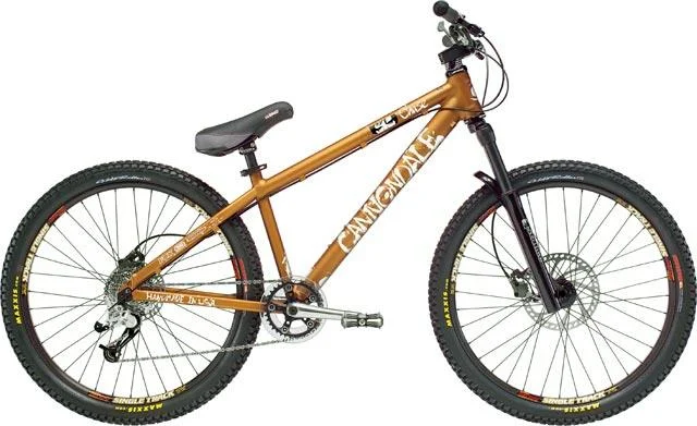 2005 Cannondale Chase 1