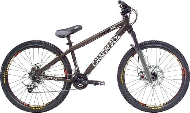 2005 Cannondale Chase 2
