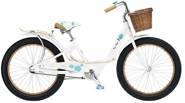 2005 Giant Vida