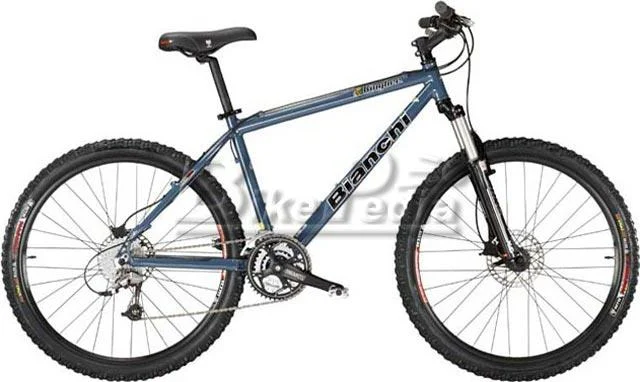 2005 Bianchi Kingbee