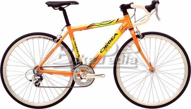2005 Orbea Carrera