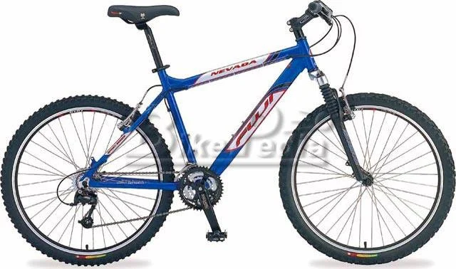 2005 Fuji Nevada