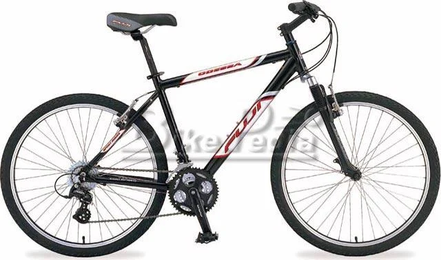 2005 Fuji Odessa