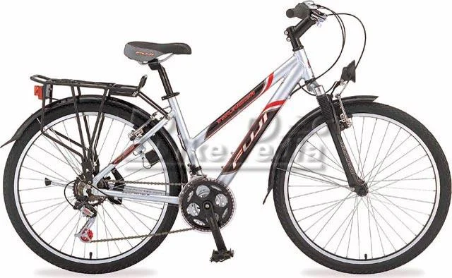 2005 Fuji Thunder Lady