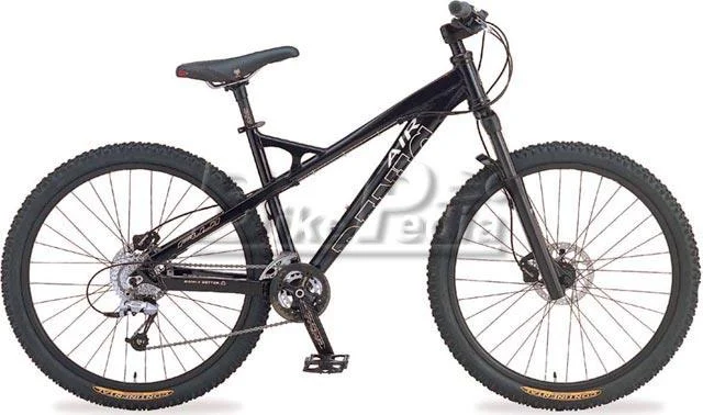 2005 Fuji Panic Air