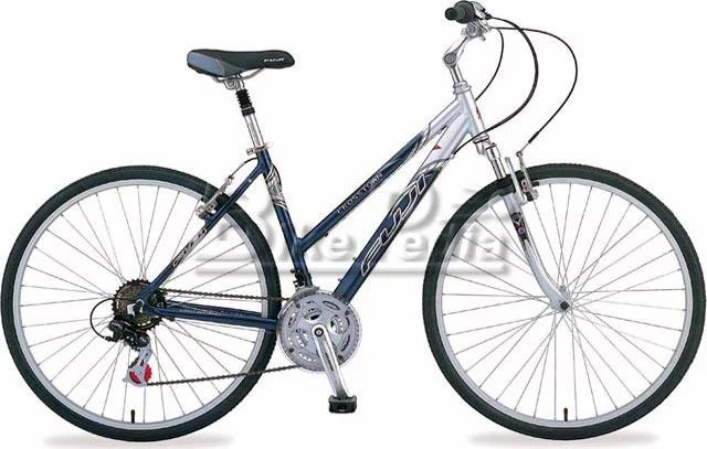 2005 Fuji Crosstown Lady