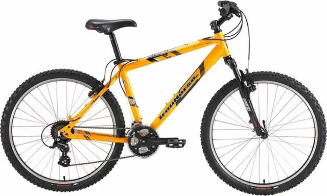 2005 Iron Horse Maverick Comp