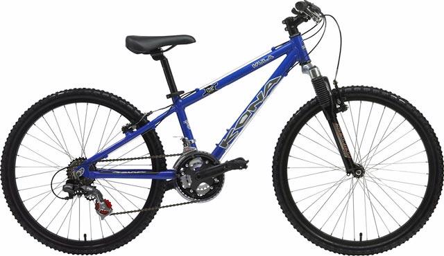 2006 Kona Hula