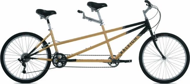 2006 Raleigh Companion