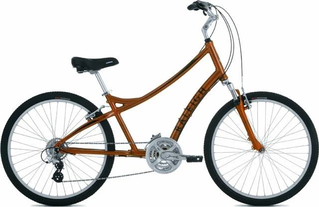 2006 Raleigh Gruv 2