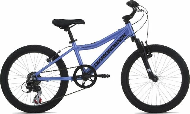 2006 Diamondback Octane 20