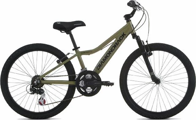 2006 Diamondback Octane 24