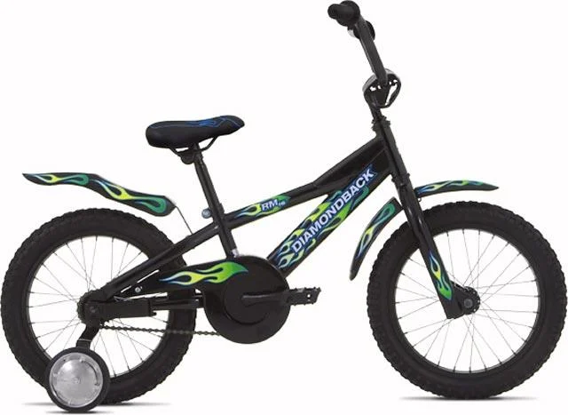 2006 Diamondback RM 16