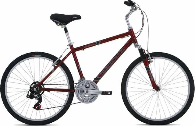2006 Diamondback Wildwood