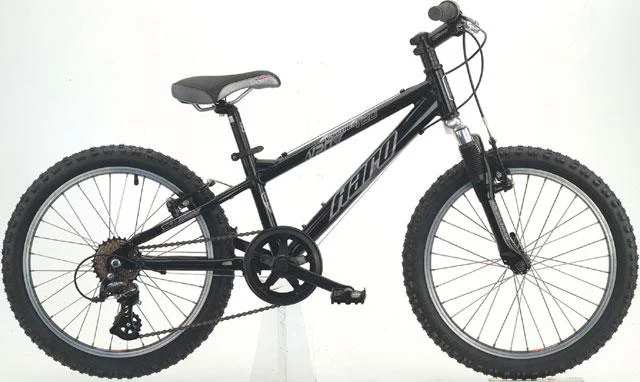 2006 Haro V20
