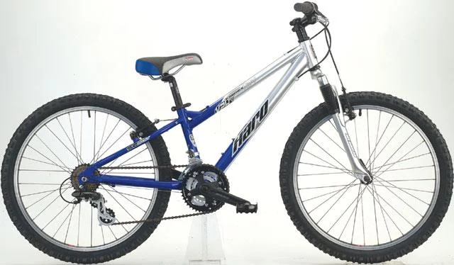 2006 Haro V24