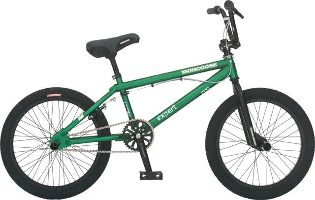 2006 Mongoose Expert
