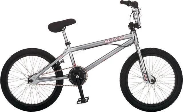 2006 Schwinn Lavin 1000