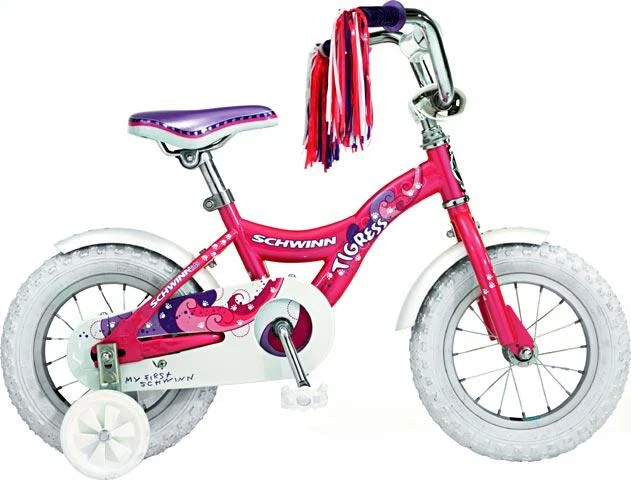 2006 Schwinn Tigress