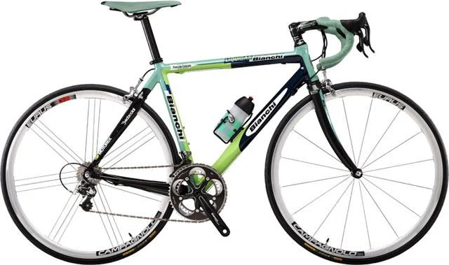 2006 Bianchi Freecia Celeste HC/Record