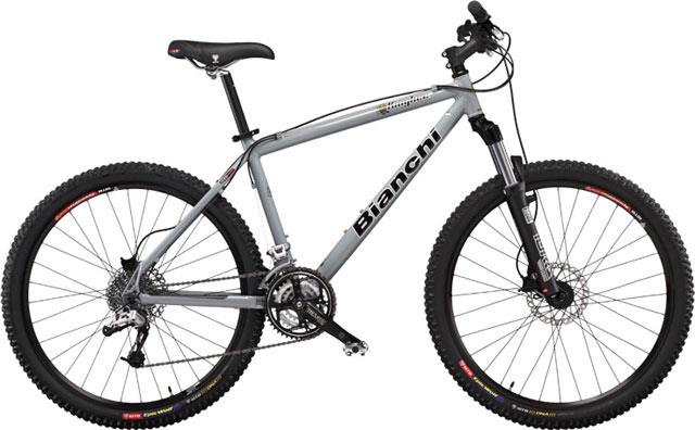 2006 Bianchi KingBee