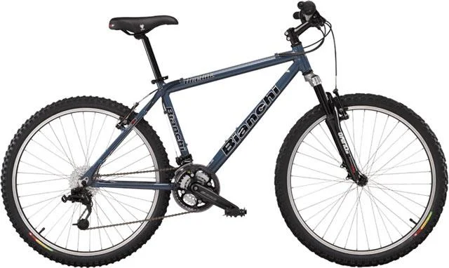 2006 Bianchi Ocelot