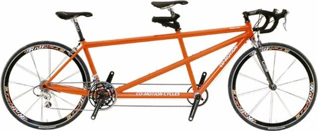 2006 Co-Motion Robusta