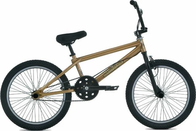 2006 Diamondback Joker