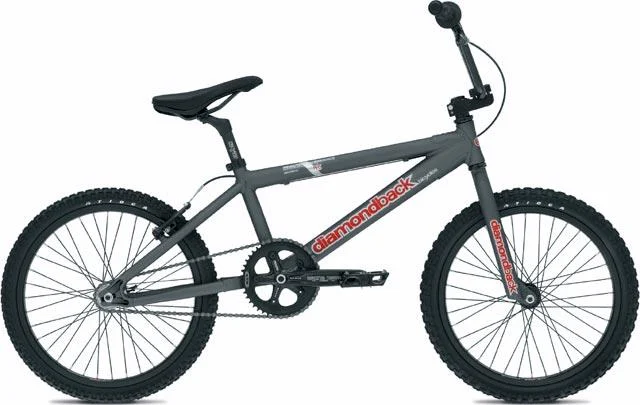 2006 Diamondback Reactor Pro