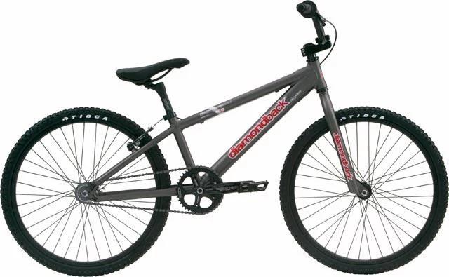 2006 Diamondback Reactor Pro 24