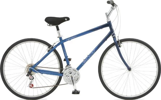 2006 Giant Cypress ST x05
