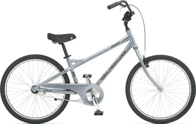 2006 Giant Suede SS x05