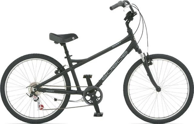 2006 Giant Suede x05