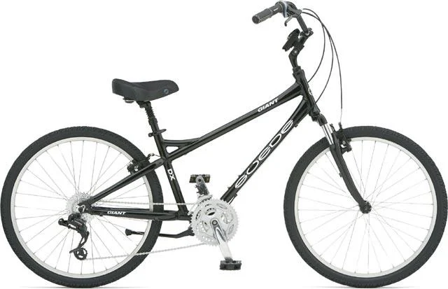 2006 Giant Suede DX x05