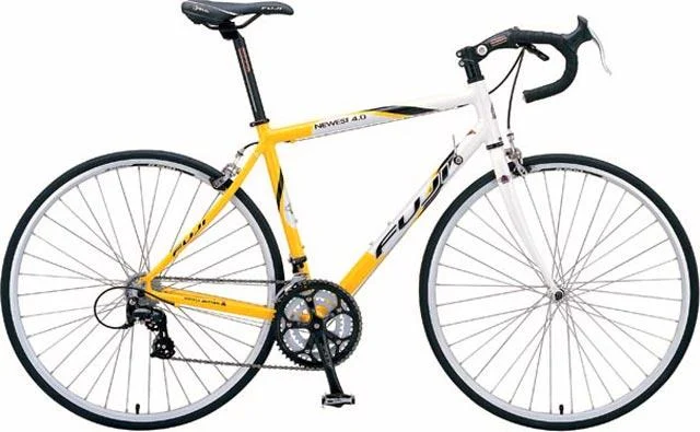 2006 Fuji Newest 4.0