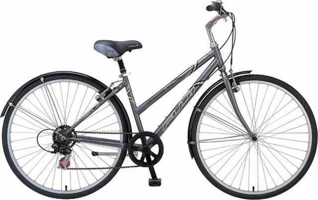 2006 Fuji Crosstown 4.0