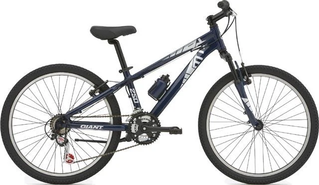 2006 Giant MTX 250 Boys