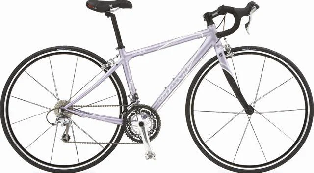2006 Giant OCR 1 W