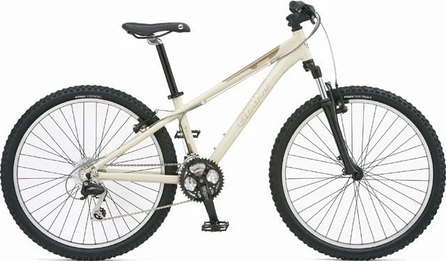 2006 Giant Rincon W