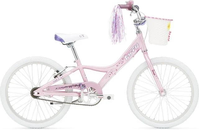 2006 Giant Taffy