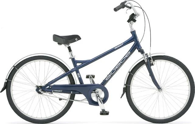 2006 Giant Suede GX Men's