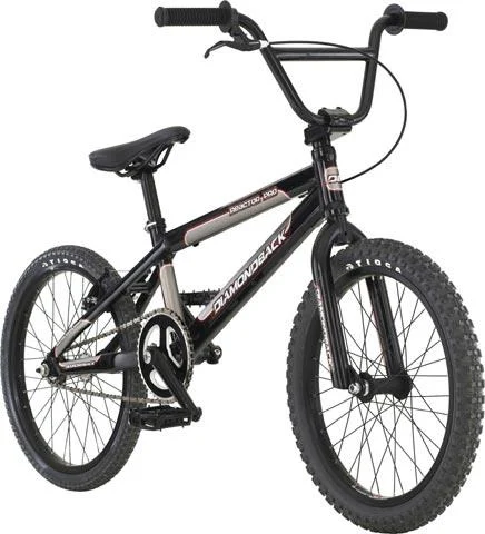 2007 Diamondback Reactor Pro