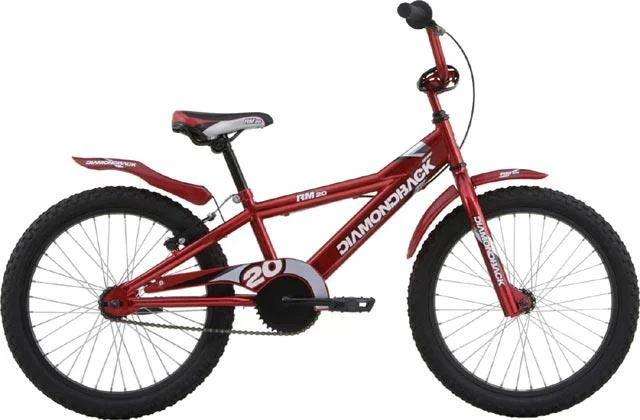 2007 Diamondback RM 20