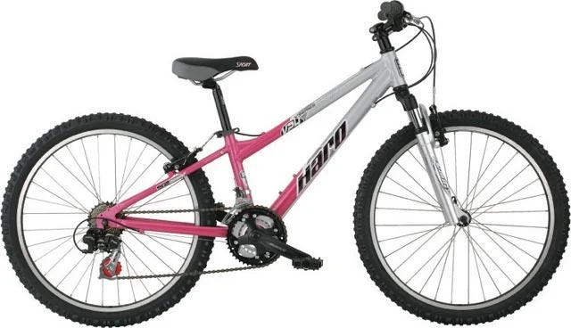 2007 Haro V24
