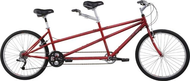 2007 Raleigh Companion